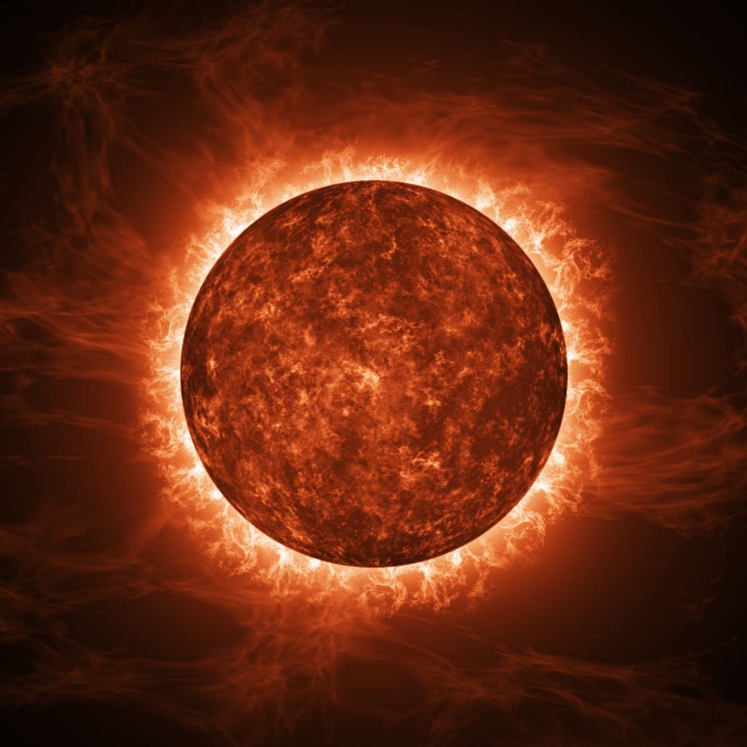 An image of the sun taken with special cameras to show all the solar flares coming off of it