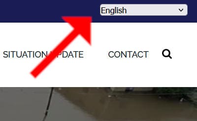 Arrow pointing to the translation drop down